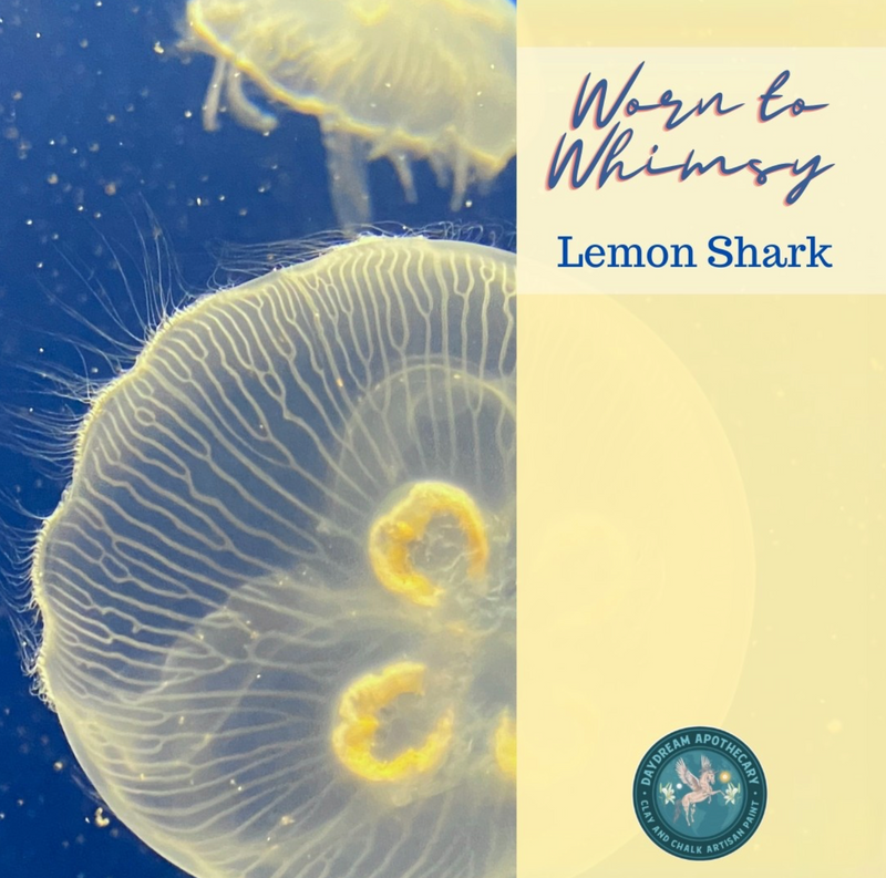 Lemon Shark: Daydream Apothecary Clay and Chalk Artisian Paint